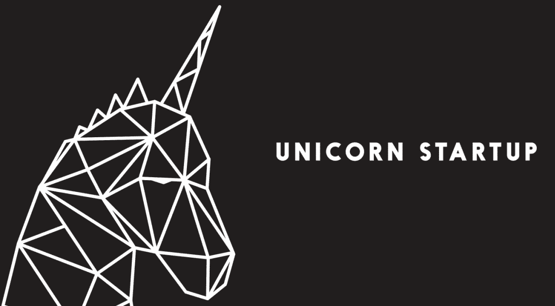 Startup unicorn