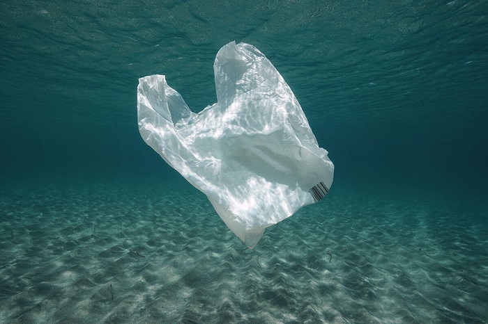  Berapa Lama sih Sampah Plastik Akan Terurai di Laut?